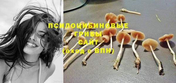 эйфоретик Алзамай