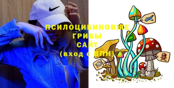эйфоретик Алзамай