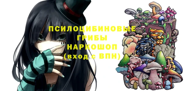 амф Алексин