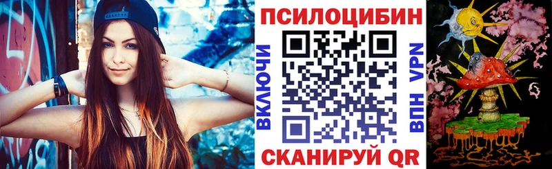 Псилоцибиновые грибы Psilocybine cubensis  как найти   МЕГА ссылки  Гвардейск 